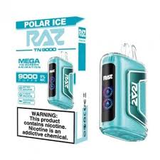 Raz TN 9000 Puff Disposable Vape – Polar Ice Flavor | Cool Menthol Breeze – 9000 Puffs, USB-C Rechargeable, Pre-Filled E-Liquid | Smooth Nicotine | Disposable Vape Pen for Adults