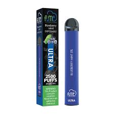 Fume Ultra 2500 Puffs – Blueberry Mint Disposable Vape | Sweet Blueberry & Cool Mint Flavor | 10-Pack | 5% Nicotine | Long-Lasting Vaporizer Device